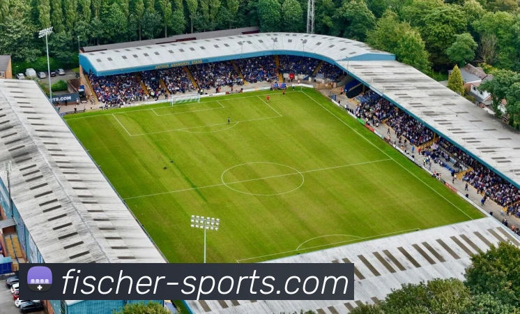 体育下注平台生态图